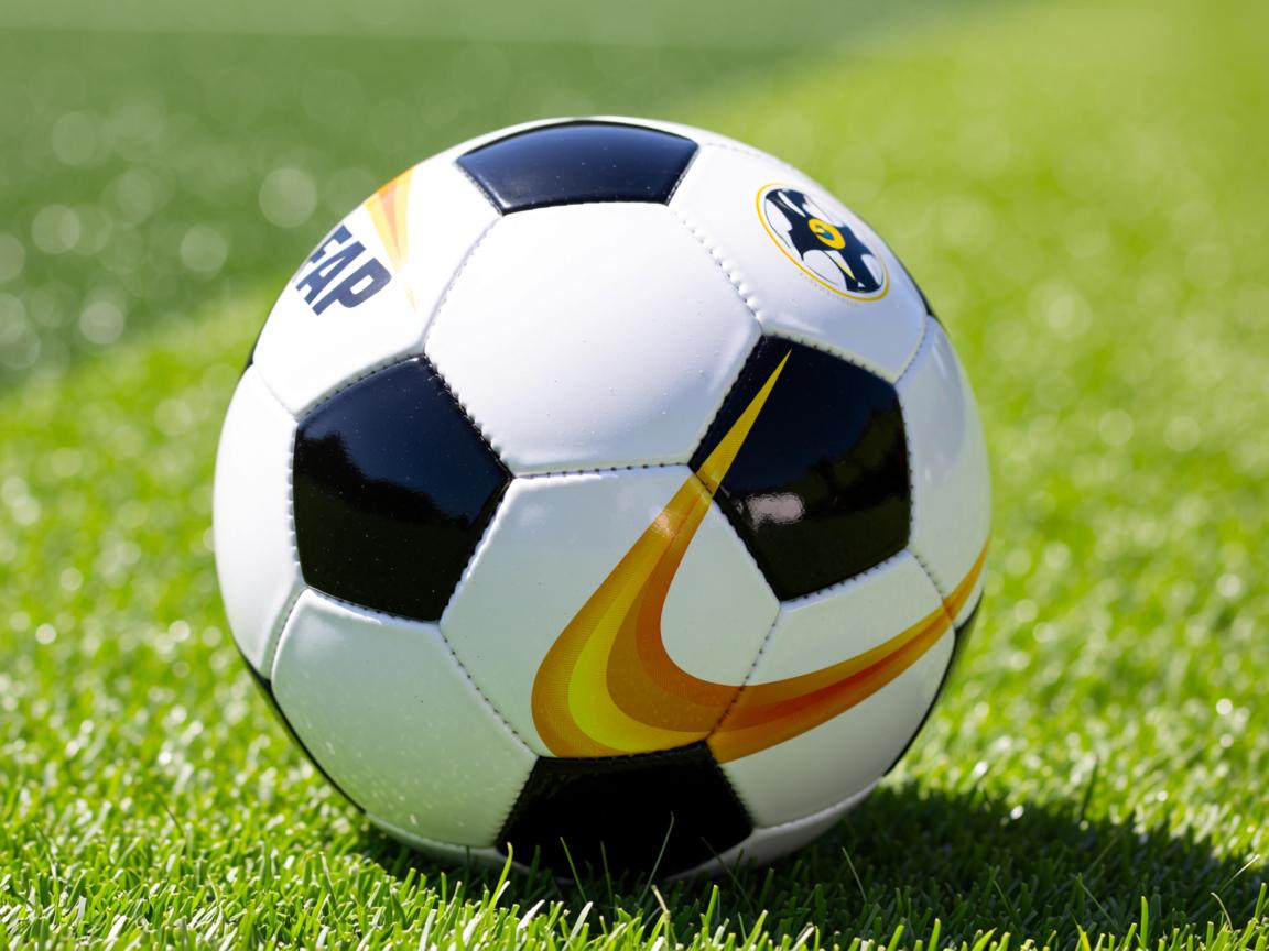 开云体育在线-Chinese Taipei团队在2024混合团体世界杯中如何脱颖而出